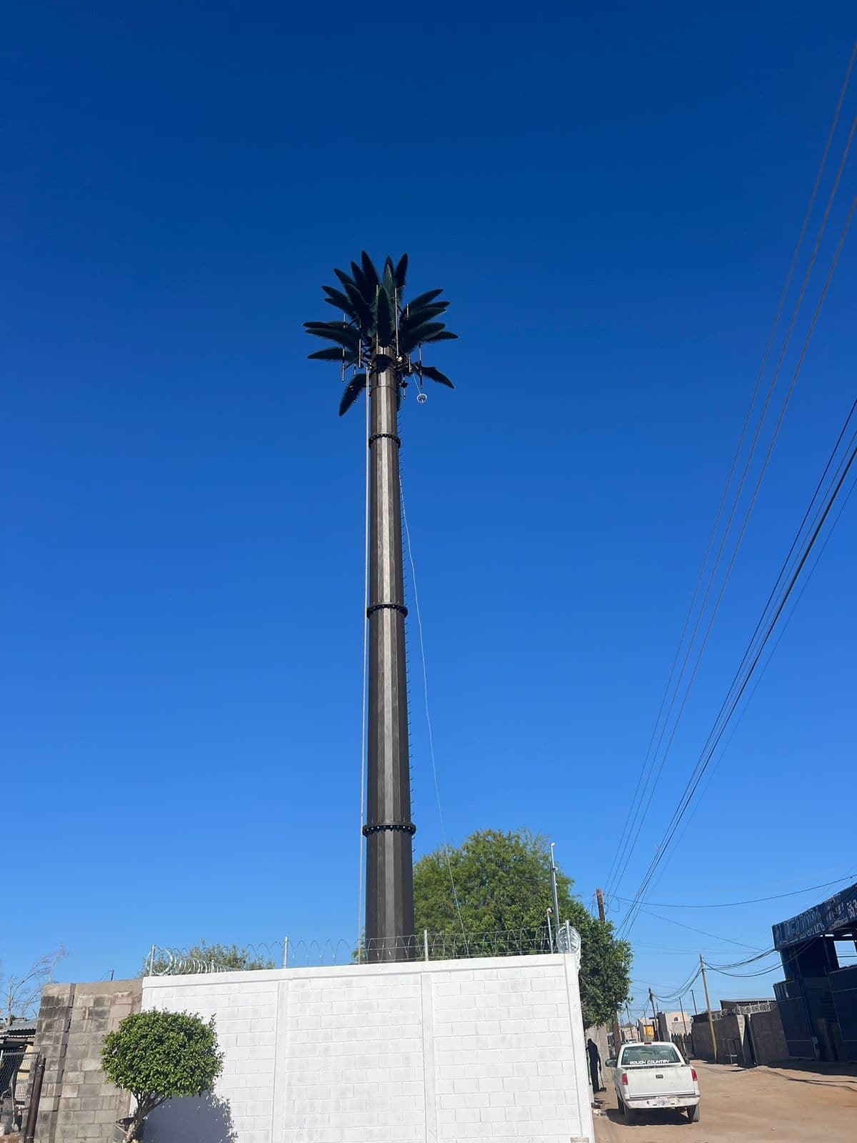 Monopolo de telecomunicaciones camuflado como una palmera en zona urbana
